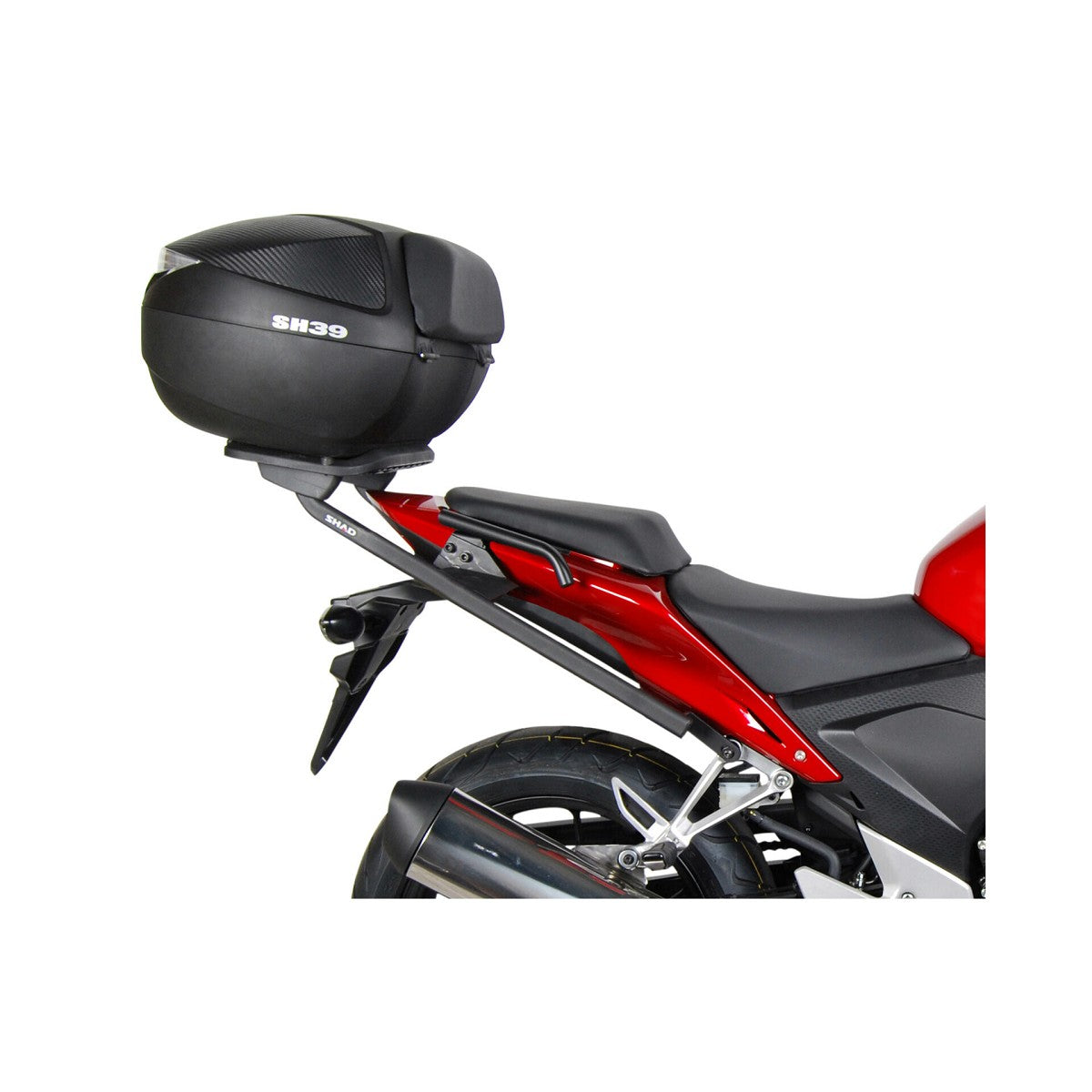 TOP CASE SH39 CARBONO SHAD